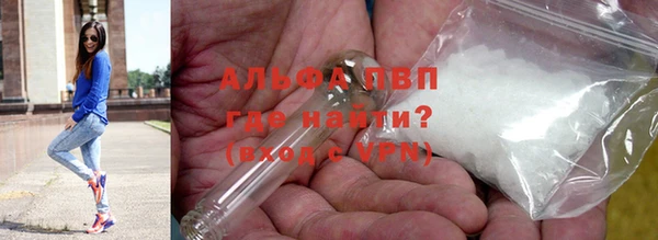 СК Магас
