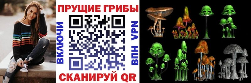 что такое   Нижневартовск  Псилоцибиновые грибы Cubensis 